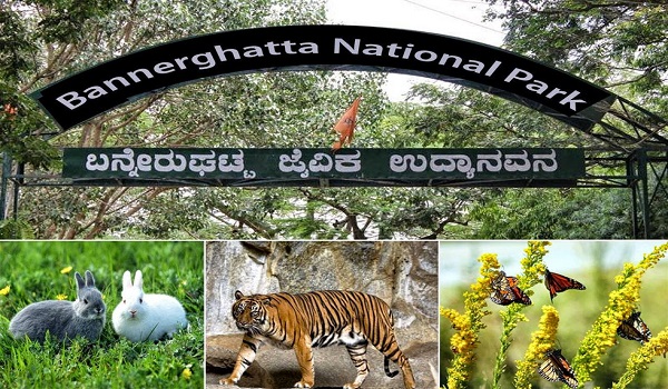 Featured Image of Bannerghatta Biological Park
