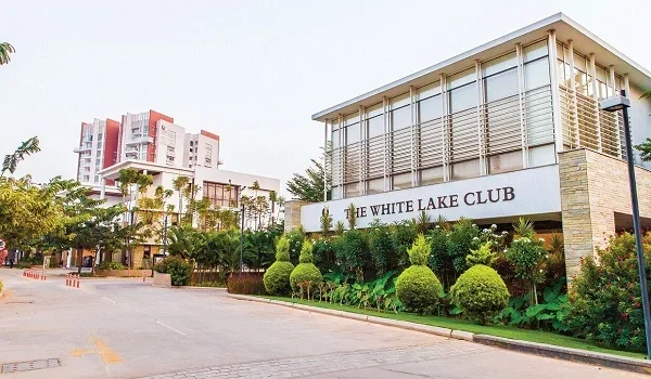 Featured Image of Prestige White Meadows